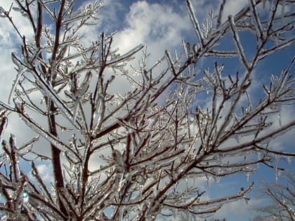 26 февраля во Владимирской области синоптики прогнозируют ледяной дождь и гололедицу