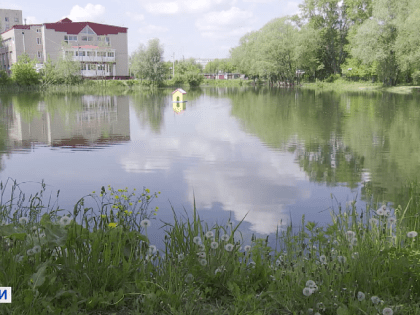 Соловьиный пруд во Владимире закрыт на карантин