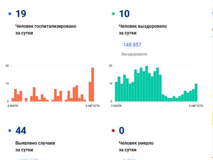 Во Владимирской области на 3 августа лабораторно подтверждено 44 случая коронавируса