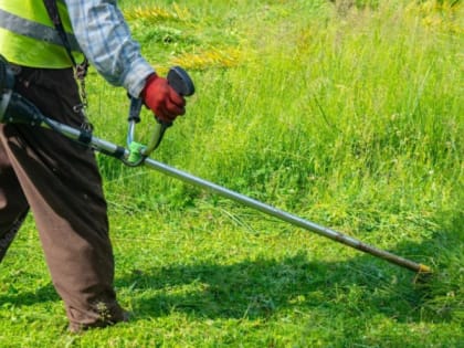 Во Владимирской области за высокую траву предусмотрены крупные штрафы