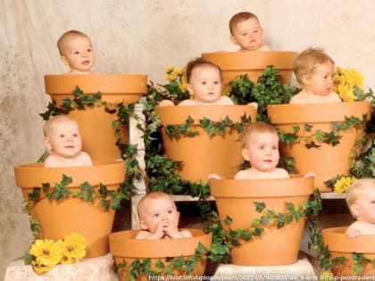 Во Владимирской области материнский капитал распространят на четвёртых и последующих родившихся детей