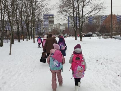 Во Владимирской области начали говорить о переводе учащихся на дистанционку из-за морозов