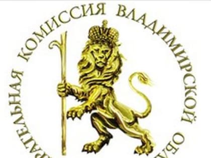 Владимирский избирком выявил нарушения в документах кандидатов в депутаты ЗС