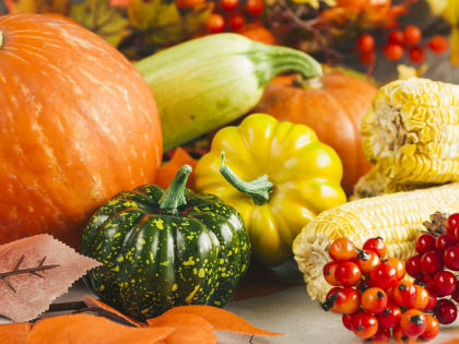 Продукты октября – подарок осени!