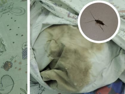 "Стряхиваем тараканов с детских постелей": родители в шоке от условий в ОДКБ во Владимире