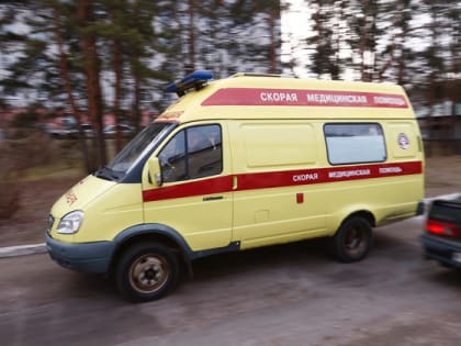 Во Владимирской области за последние сутки коронавирус выявлен у 14 человек