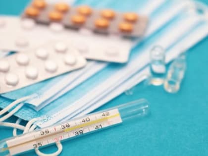 Владимирцев предупредили о возможном появлении в регионе штамма Covid-19 «Пирола»