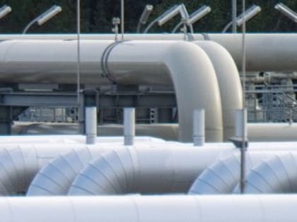 Рогов заявил о попытках диверсантов проникнуть в Запорожскую область