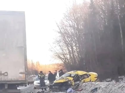 Опять гибель на дороге во Владимирской области. В Александровском районе зафиксировано смертельное ДТП