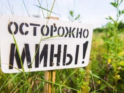 Газета «Spiegel» сообщила, что ВСУ не могут справиться с минами ВС РФ