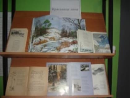 Книжная выставка "Красавица зима"(Горкинская библиотека)