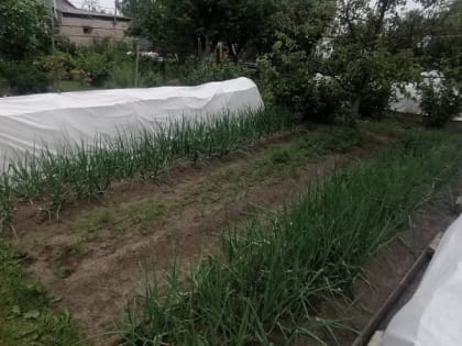 Обновление ситуации в городе: последние новости и тенденции