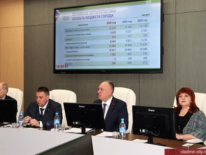 Депутаты горсовета поддержали проект бюджета Владимира на три ближайших года