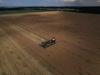 Украина и Польша вступили в аграрную войну из-за зерновой сделки