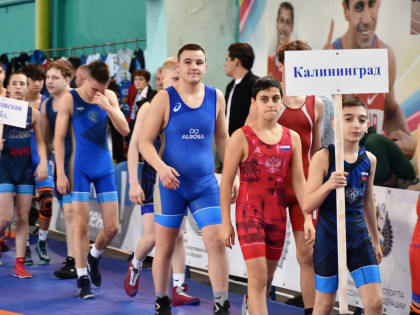 В Гусь-Хрустальном прошли Всероссийские соревнования по греко-римской борьбе