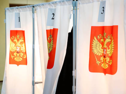 На довыборах в Кольчугинском и Меленковском районах завершилась регистрация кандидатов