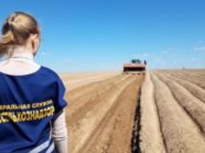 В Костромской области в результате мониторинга фитосанитарного состояния в 2022 году обследовано более 77 тысяч гектаров площадей