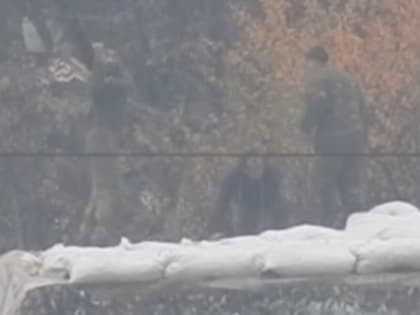 Запад испугался новых возможностей российского фрегата «Маршал Шапошников»