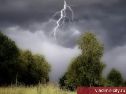 Во Владимире ожидается гроза с дождем