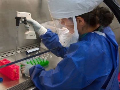 Что известно о новом вирусе «арктур» и когда ожидать пик заболевания?