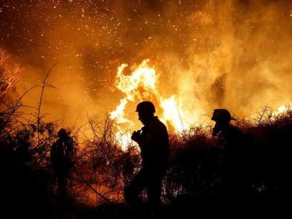 FT: атаку на Израиль начал главарь ХАМАС, за которым ЦАХАЛ охотится 20 лет