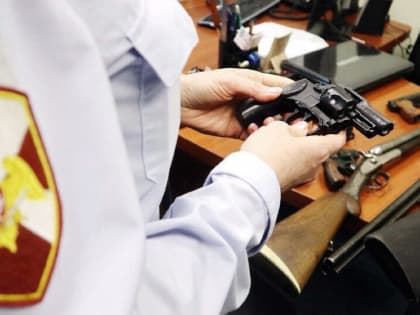 Желающих приобрести оружие будут проверять компетентные органы