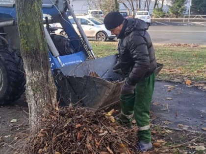 Осеннюю уборку Владимира ведут 35 единицы и 39 рабочих  муниципального «ЦУГД»