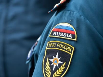 Во Владимирской области спасатели достали гражданина из покореженного авто