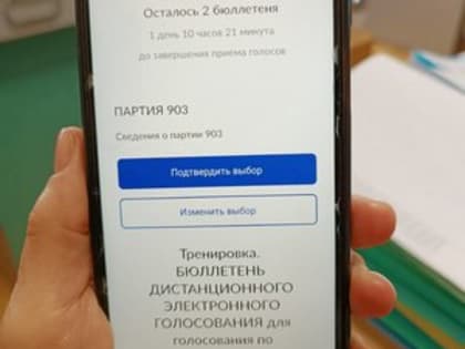 Жители Владимирской области могут проверить, как работает дистанционное электронное голосование