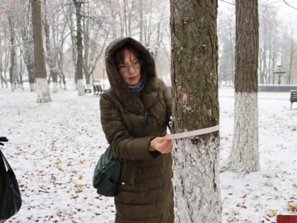 Специалисты оценивают состояние зеленых насаждений во Владимире