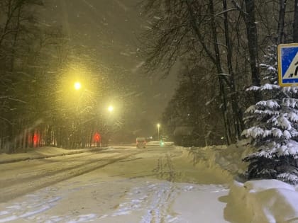 Метель во Владимирской области не была рекордной, заявили синоптики