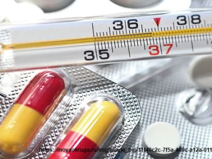 Об эпидемиологической обстановке по ОРВИ и гриппу во Владимирской области с 06.02.2023 г. по 12.02.2023г