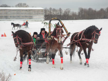 И в подводу и под воеводу. В Богдарне прошел фестиваль Русской тройки&nbsp;
