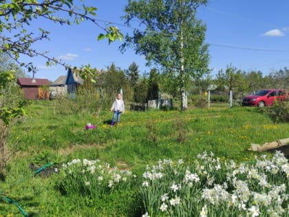 Полный запрет с сегодняшнего дня: неожиданный сюрприз для всех огородников и садоводов