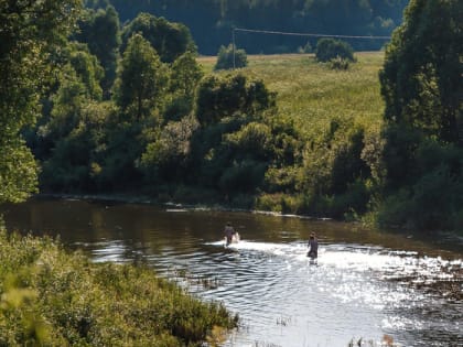 Новая волна жары накрыла Владимирскую область