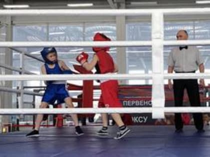Первенство города Коврова по боксу