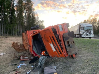 Безрадостная хроника ДТП