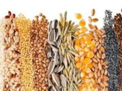 В Ивановской области за негашение карантинного сертификата в системе «Аргус-Фито» предпринимателю выдали предостережение