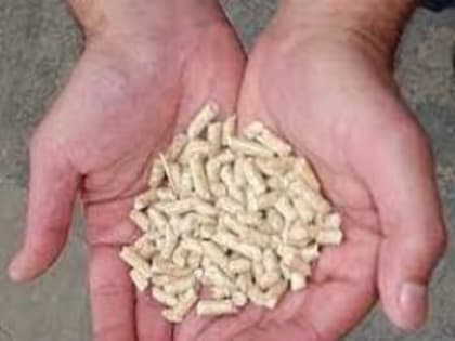 Под контролем Управления Россельхознадзора с начала года осуществлен экспорт 540 т древесных топливных гранул с территории Владимирской области