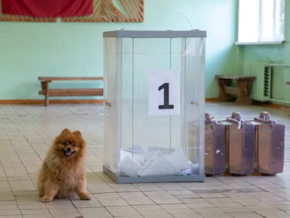 «Единая Россия» победила на выборах депутатов Заксобрания Владимирской области