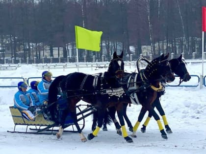 Владимирская команда взяла "серебро" на Чемпионате русских троек