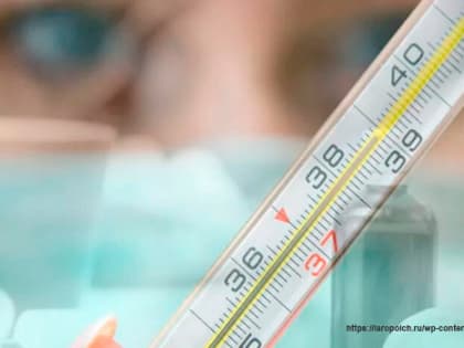 Об эпидемиологической обстановке по ОРВИ и гриппу во Владимирской области с 30.01.2023 г. по 05.02.2023г.