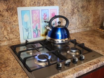 Во Владимирской области отдельным категориям граждан предоставляется субсидия при догазификации