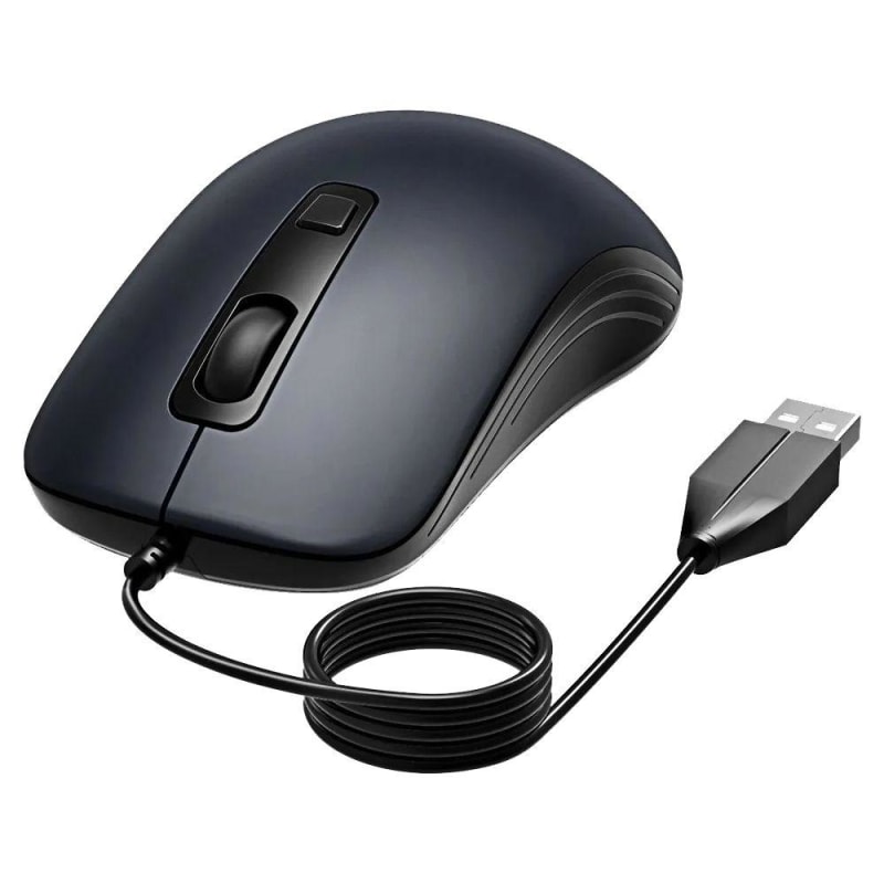 mouse