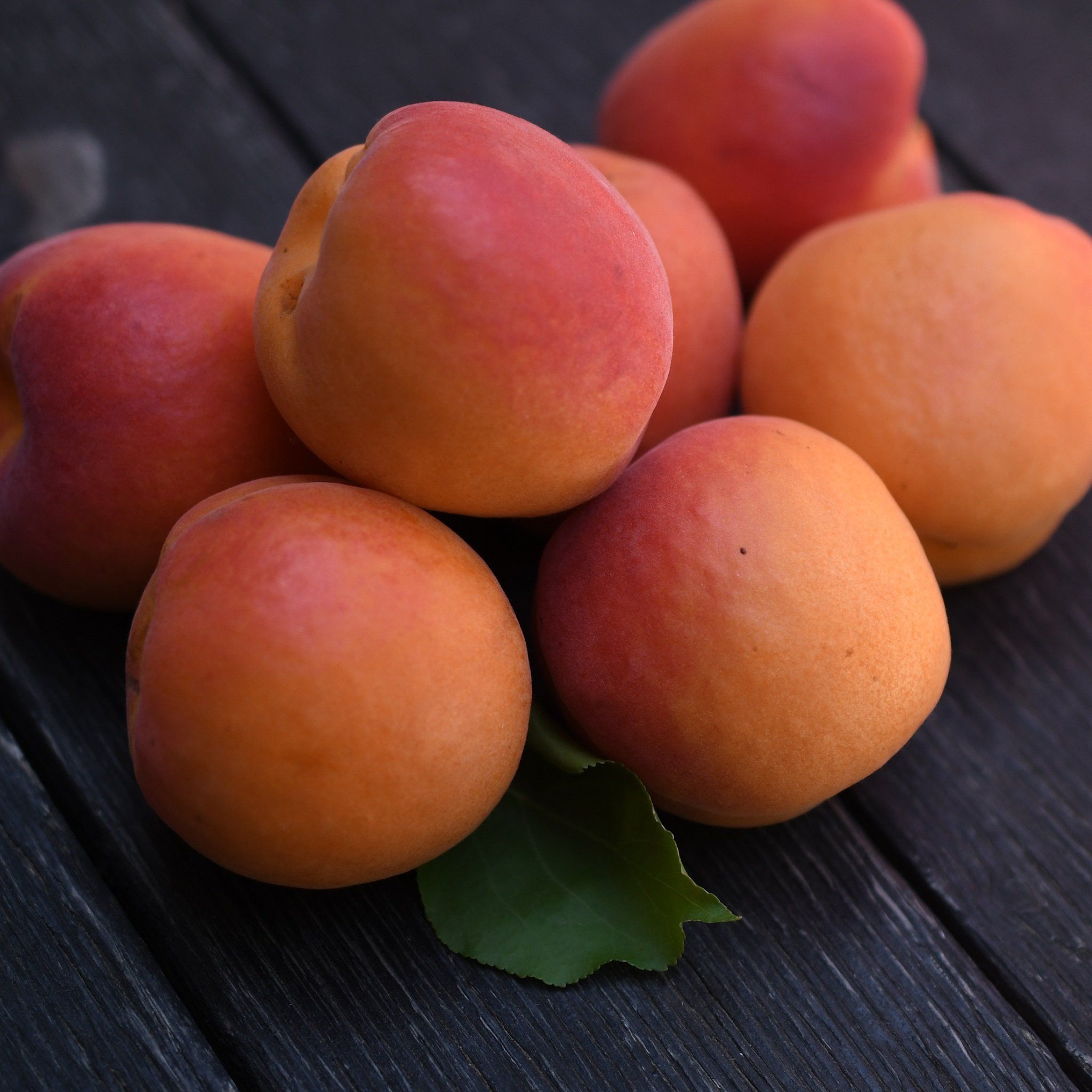 Apricots