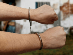 В Новосибирске задержан мигрант за попытку сексуального насилия над девочкой