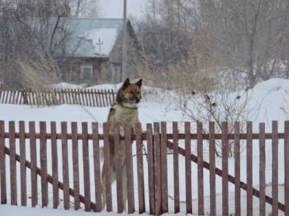 Температурные качели прогнозируют синоптики в марте в Новосибирской области