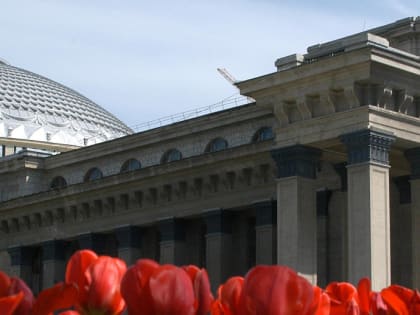 «Сказку о рыбаке и рыбке» на Русском Севере покажет НОВАТ