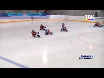 Хоккей без барьеров. Бердскую ДСХК «Сибирский лис» поздравляет с «золотом» все спортивное сообщество города