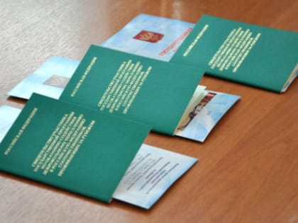 По региональной программе переселения соотечественников в 2024 году Новосибирскую область для проживания выбрали 2300 человек